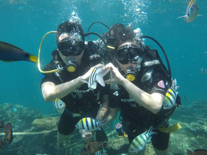 �_�C�r���O