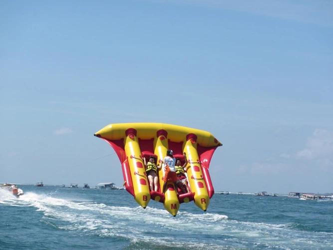 �t���C�t�B�b�V��