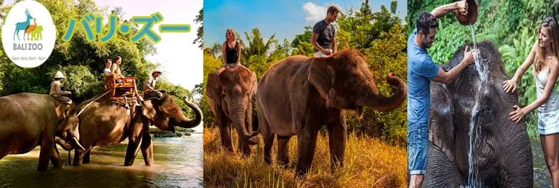 �J�[�`���[�^�[�ƃA�N�e�B�r�e�B�J�X�^�}�C�Y�c�A�[