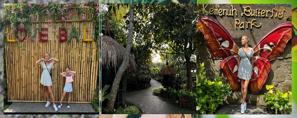 �o���E�o�^�t���C�E�p�[�N�@