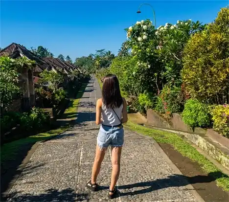 �v�����v������