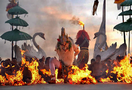 �E�����c�P�`���_���X