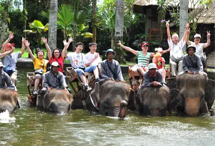 �G���t�@���g �T�t�@�� �p�[�N ���b�W �o��