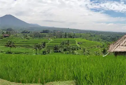 �W���e�B���E�B ���C�X�e���X