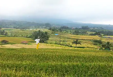 �W���e�B���E�B ���C�X�e���X