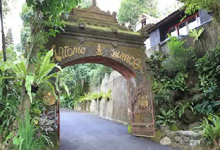 �O�k���E�J�E�C