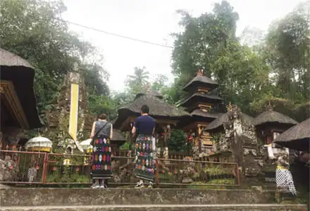 �O�k���J�E�B�X�o�g�D���@