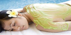 �o�����X�p�\��