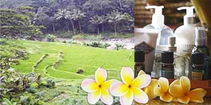 �o�����X�p�\��